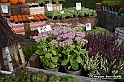 VBS_6582 - FLOREAL Ottobre 2022 - Tre giorni di fiori, piante e bellezza